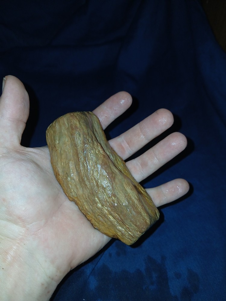 9.7 oz Texas Petrified Wood