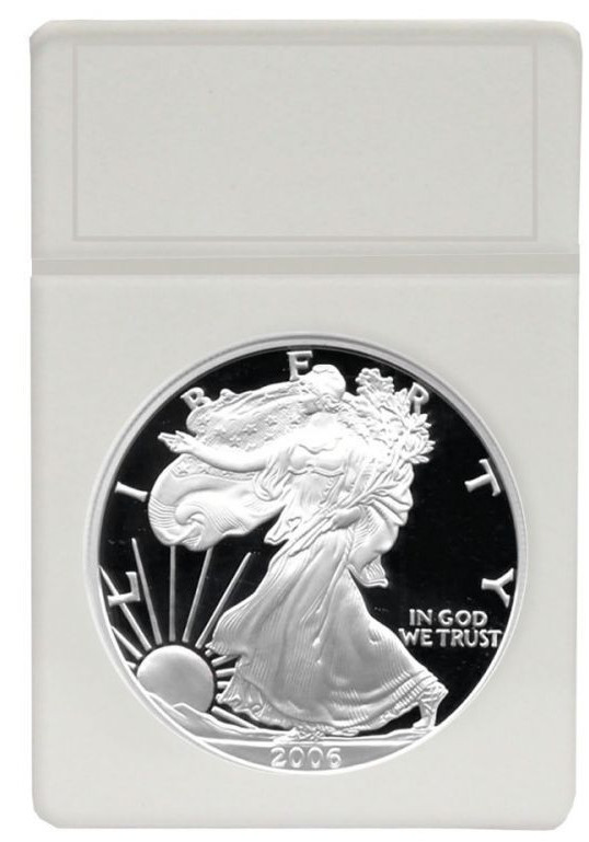 BCW Lot of 25 Display Slab Inserts - White - Silver Eagle (#CS125)
