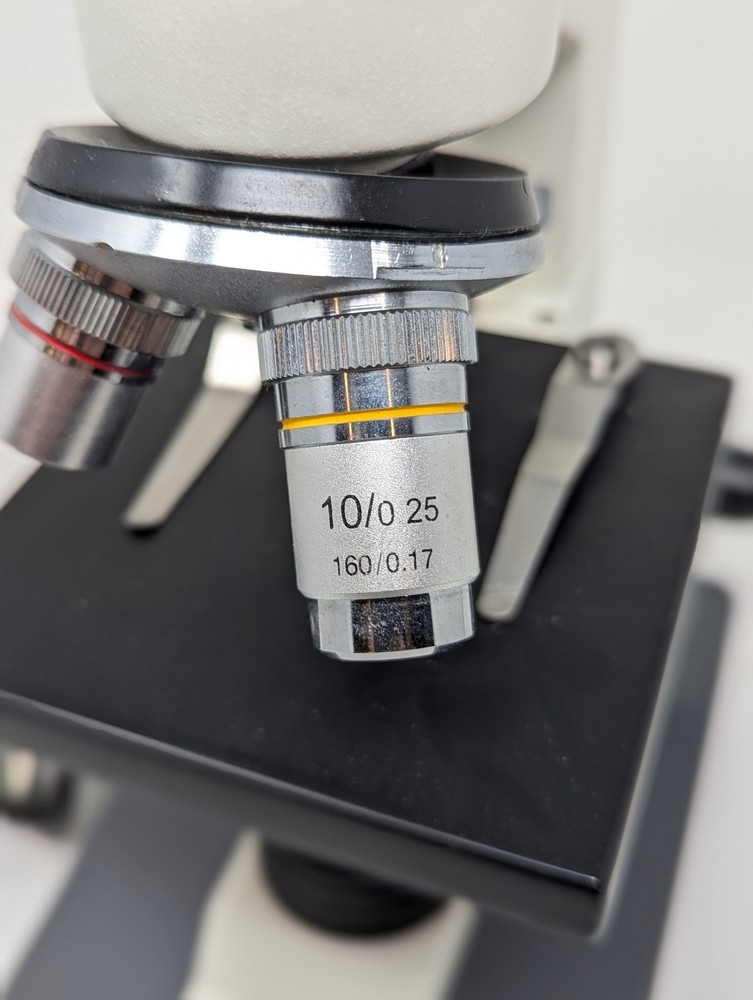 Wards Essentials Standart Compound Microscope With 2 Objectives