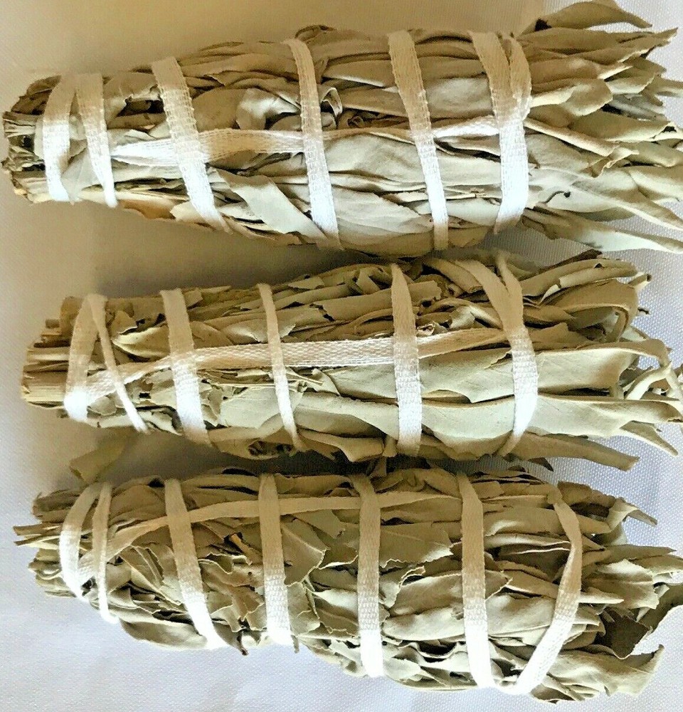 White Sage Smudge Stick 4" - 5" 3 Pack (Herb, House Cleansing, Smudge Bundle)