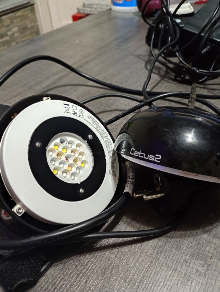 cetus 2 lamp