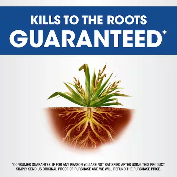 Roundup Weed and Grass Killer with Trigger Sprayer, Exclusive Formula - 1 Gal.