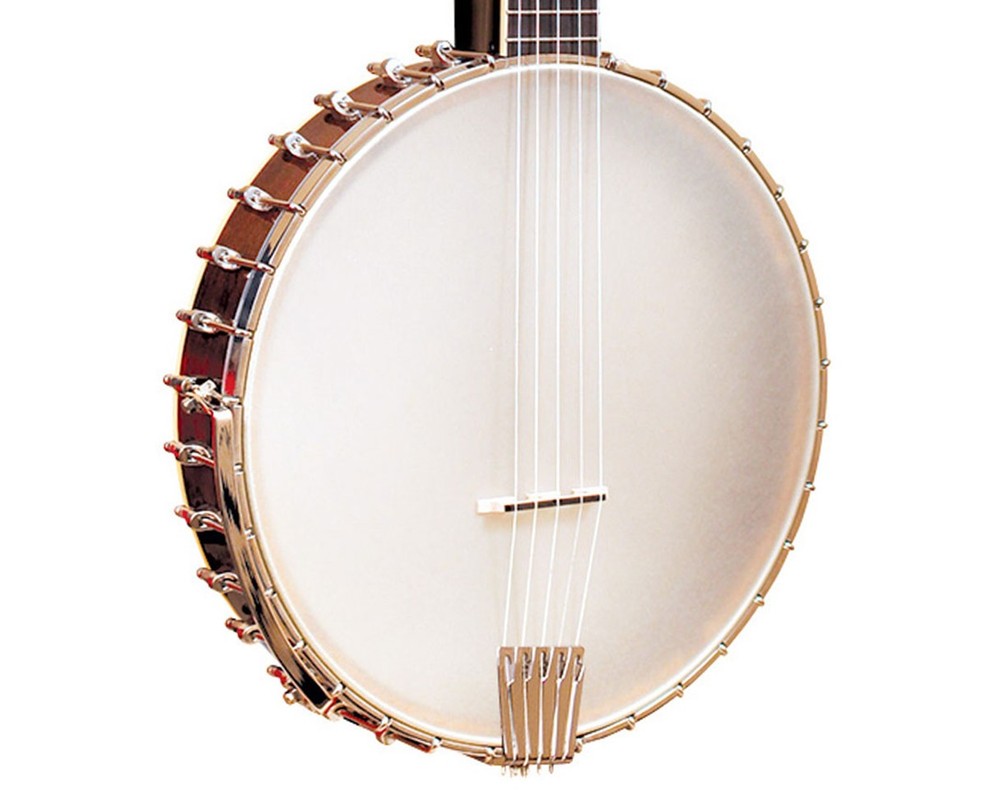 Gold Tone CEB-5 5-String Cello Banjo