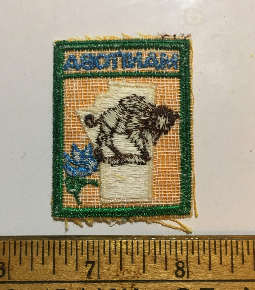 Manitoba Souvenir Patch