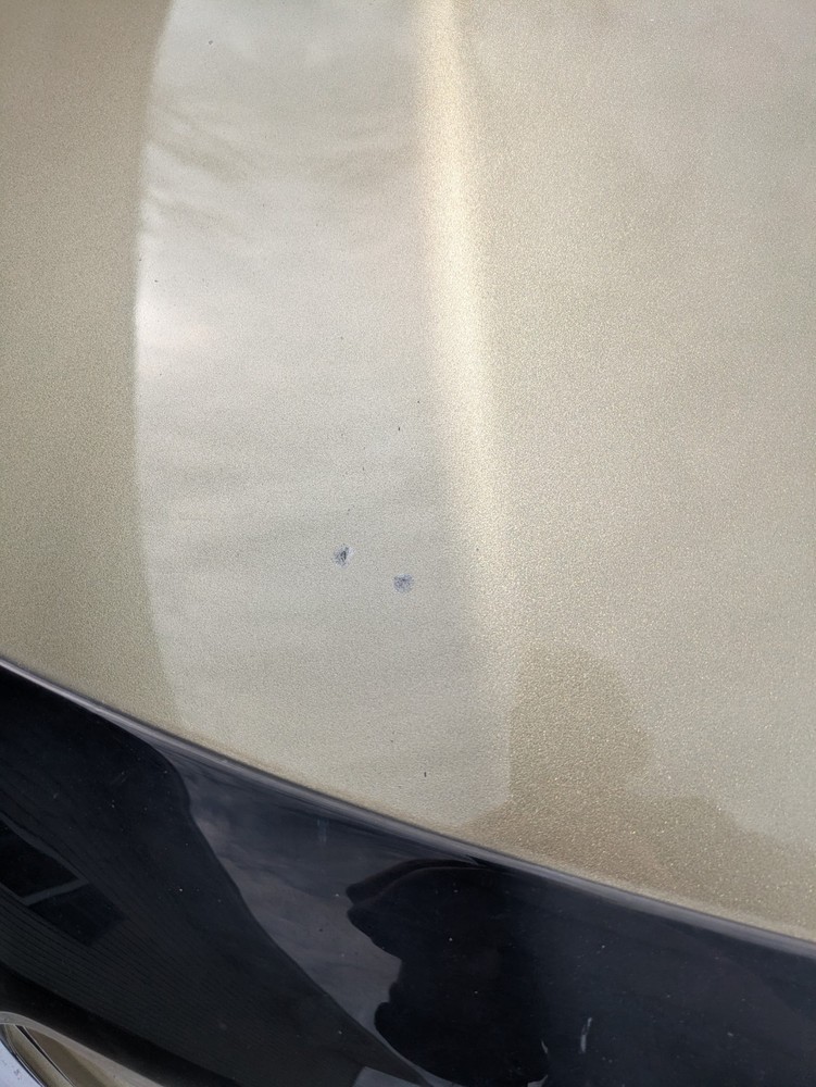 2013-2019 Ford Taurus Hood OEM