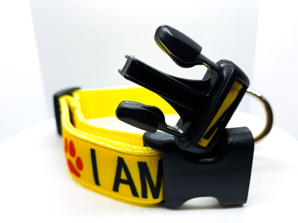 I am Deaf Custom Dog Collar Adjustable