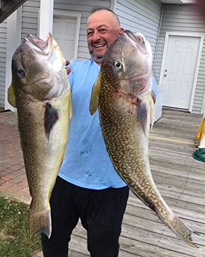 Rig Bundle - 3 Rigs With Lights and Weights