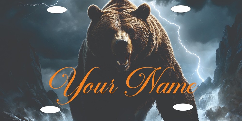 SUBLIMATION PERSONALIZED ALUMINUM LICENSE PLATE WITH NAME