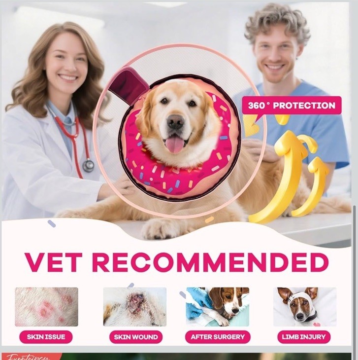 Inflatable Dog Cone Collar with Detachable Sturdy Shield,Soft&Lightweight Medium