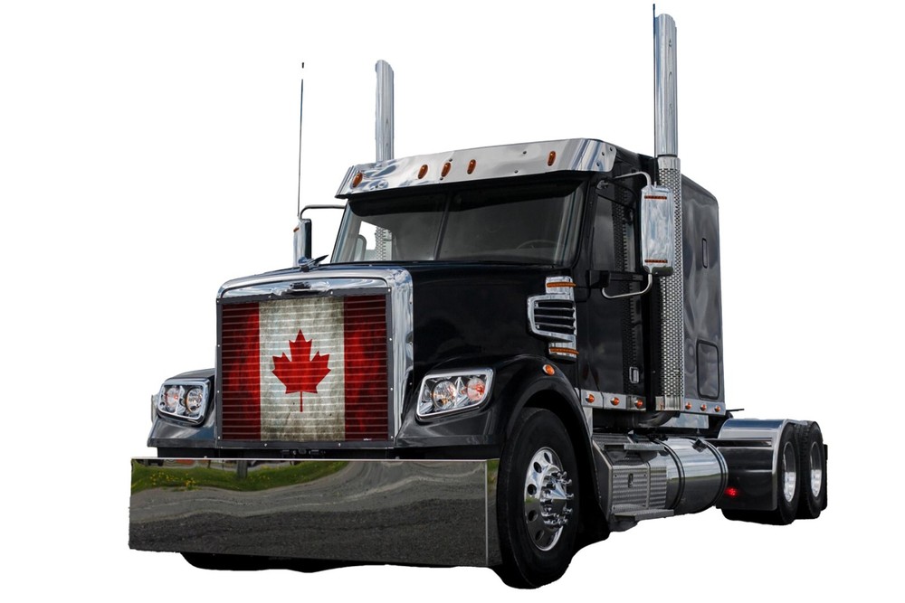 Mesh Plain Bug Screen Fits Freightliner Coronado 2010 & Newer Square Headlights