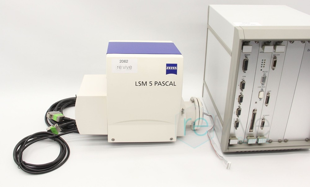 Zeiss LSM 5 PASCAL Laser Scanning Microscope