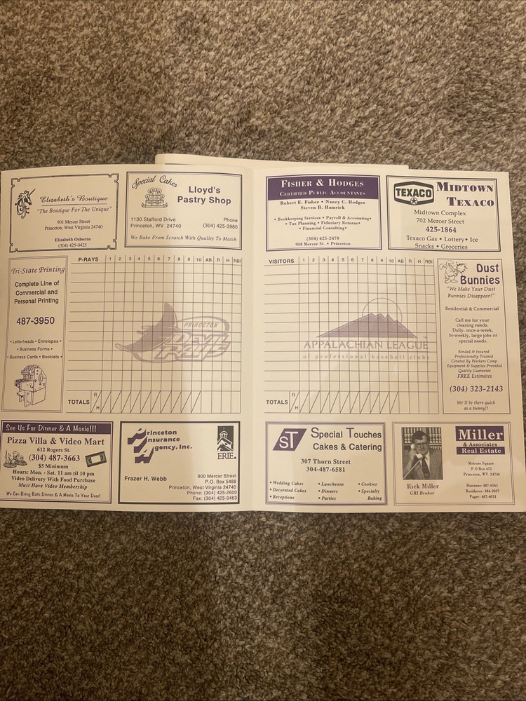 1999 Princeton Devil Rays Team Booklet.