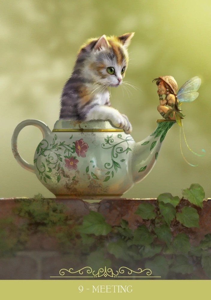 Barbieri Fantasy Cats Oracle Deck, by Paolo Barbieri!