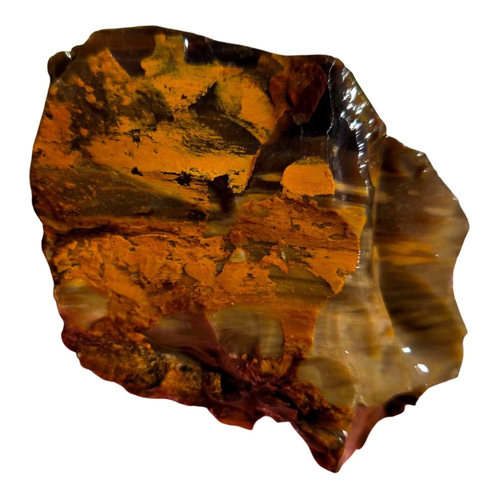 Pacific Northwest Petrified Wood Random Pull Saddle Mountain