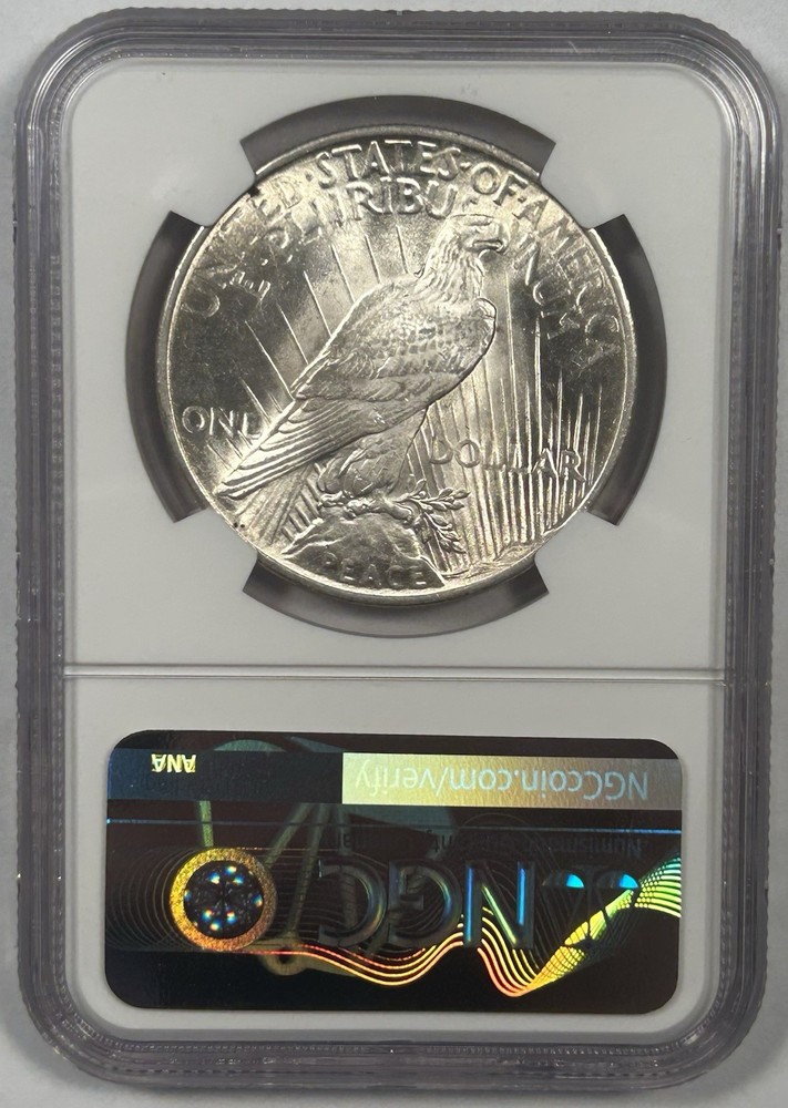 1925 Peace Silver Dollar Coin NGC MS 62