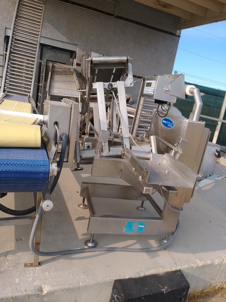 AEW DELFORD SORTING CONVEYOR 920-04