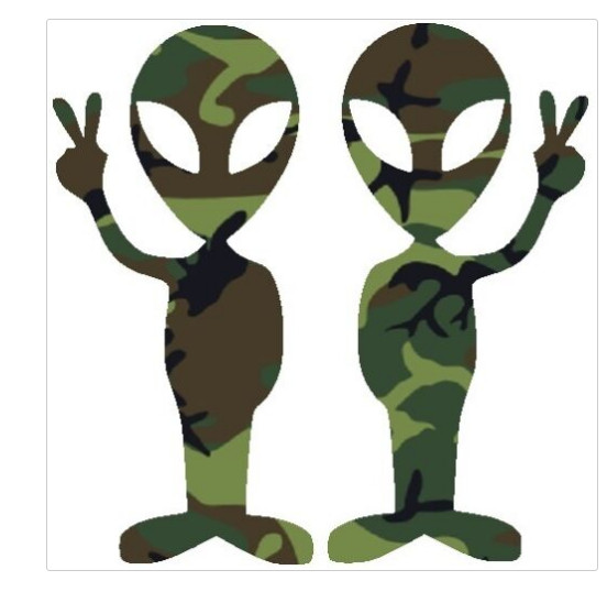 30 Custom Camo Aliens Personalized Address Labels