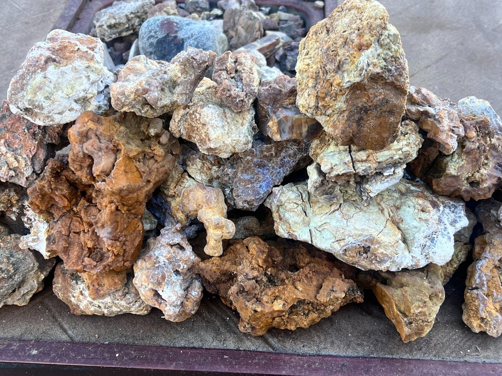 WoW! petrified wood $4 For 2 pounds rough specimens  opalized agatized bulk