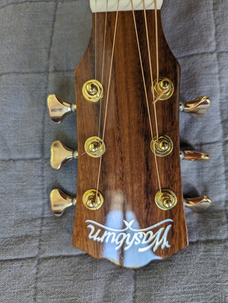 Washburn Bella Tono Elite W/Case