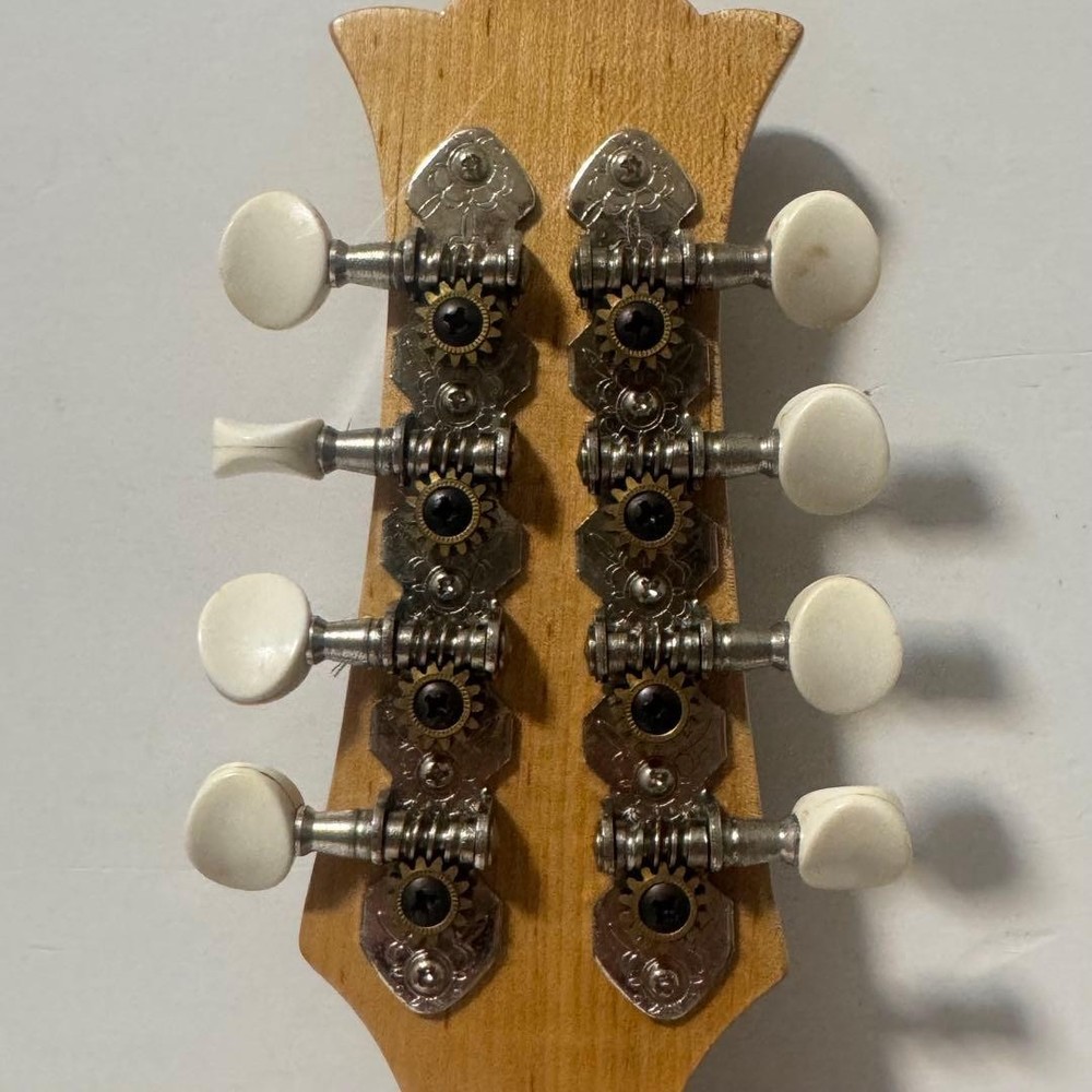 Good condition MONOPIA Mandolin with hard case