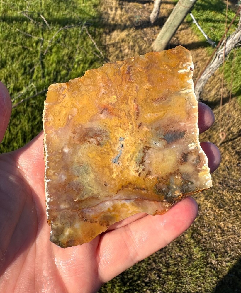 Graveyard Point Plume Agate Slab, 86 grams, Cabbing/Lapidary