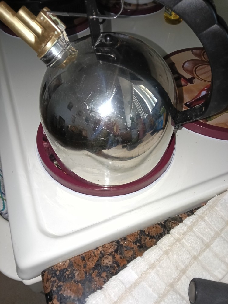 Stainless Steel Silver Stove Top Kettle with Black Ergonomic Handle