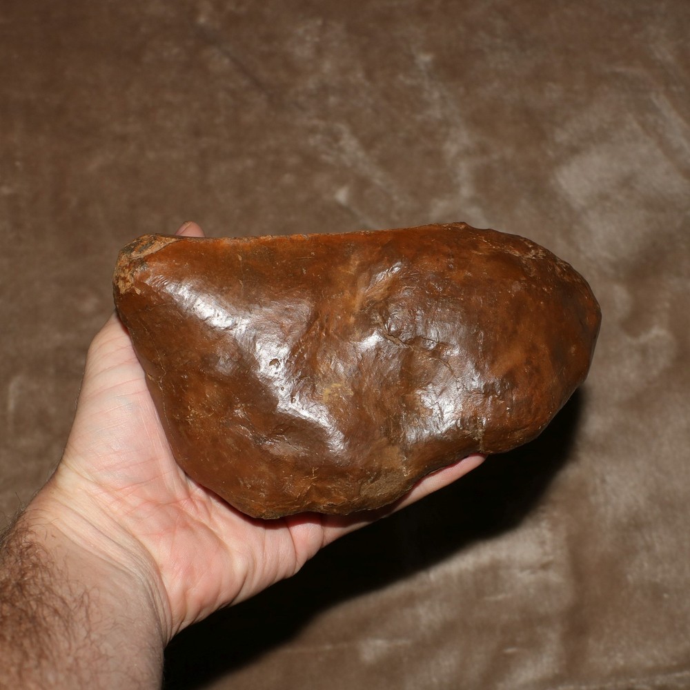 Unknown Dinosaur Bone Fossil - Heavy Thick Skull Hell Creek Formation Cretaceous