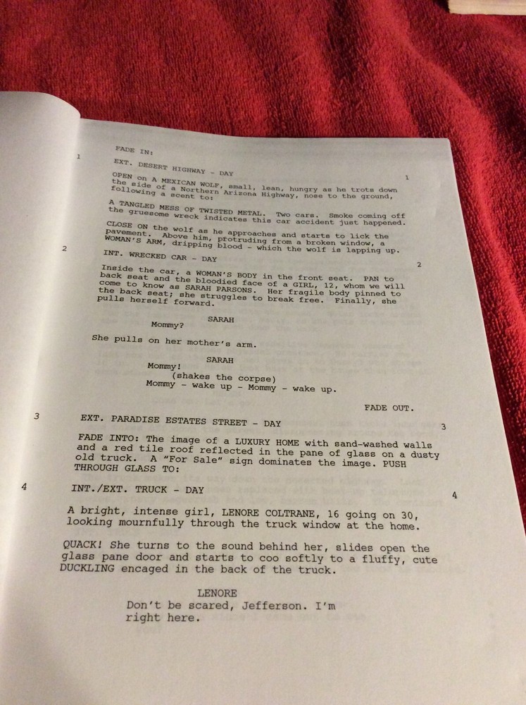 ORIGINAL SCRIPT HURT MELORA WALTERS WILLIAM MAPOTHER JOHANNA BRADDY