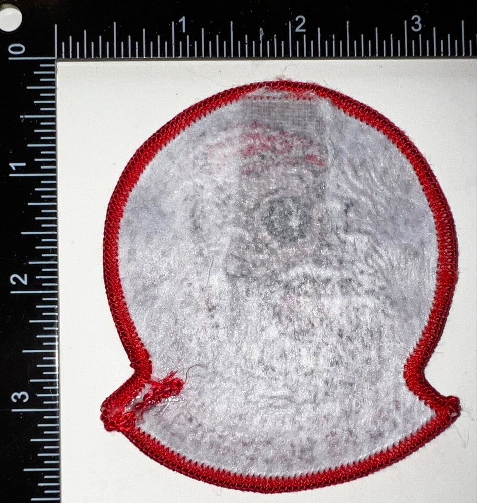 USAF 428th Fighter Squadron Buccaneers Patch