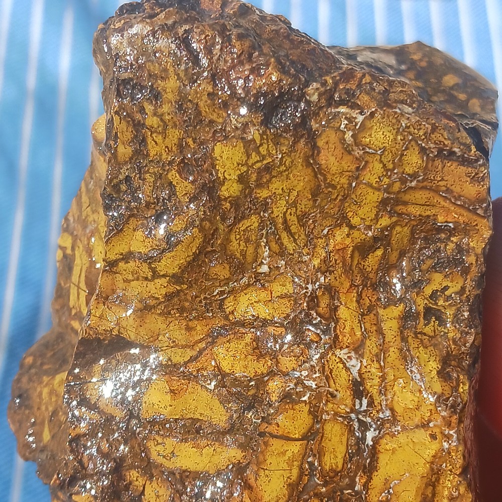 Jasper Rough Specimen Display Lapidary Potential