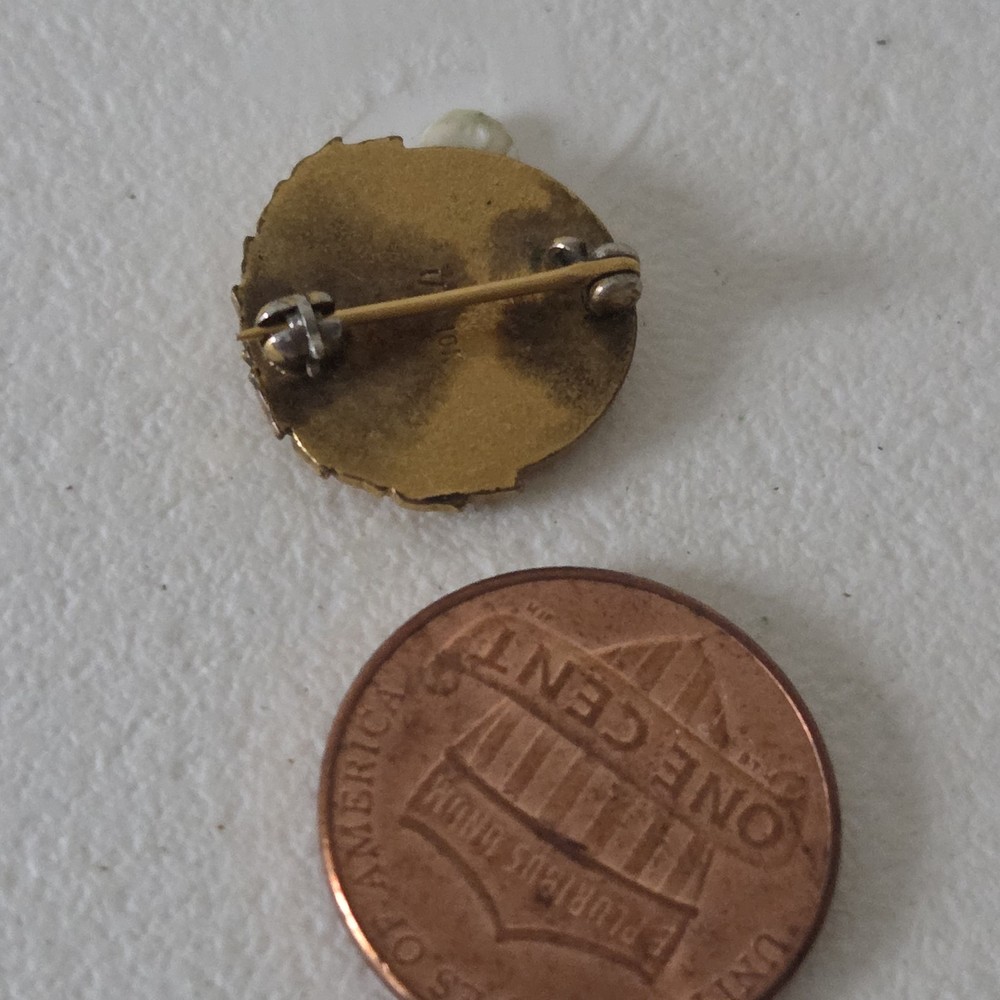 VINTAGE PRACTICAL NURSES OF IDAHO INC NURSING PIN