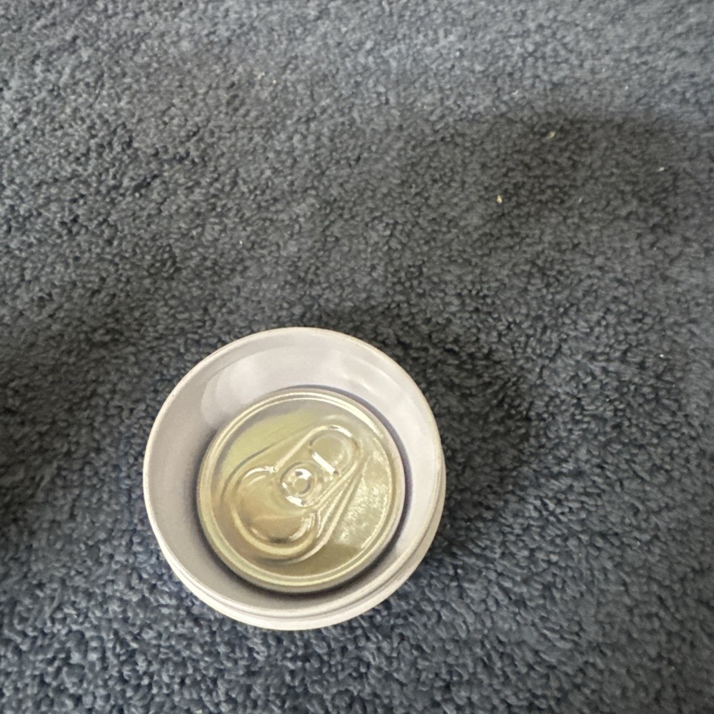 Corkcicle Tall Empty Stash Seltzer/Tall Beer Can False Top Hide A Key Beach +