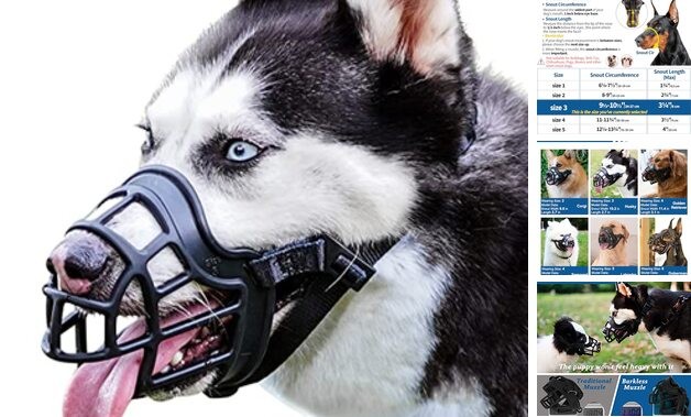 Dog Muzzle, Basket Muzzle Anti Biting Chewing, Sturdy 3 (Snout 9½-10½") Black