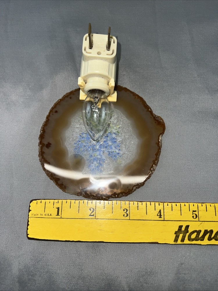 Vintage Blue Bonnet Texas Night Light