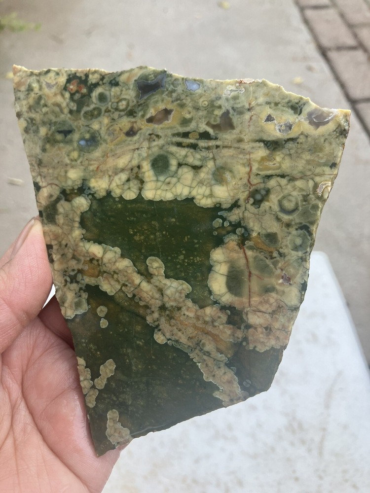 Rainforest Jasper Slab
