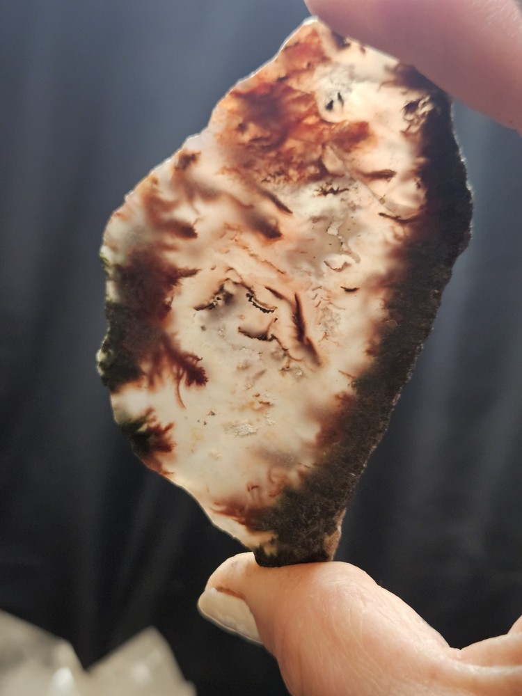 Plume Agate Multicolored Slab Specimen (1.76oz)