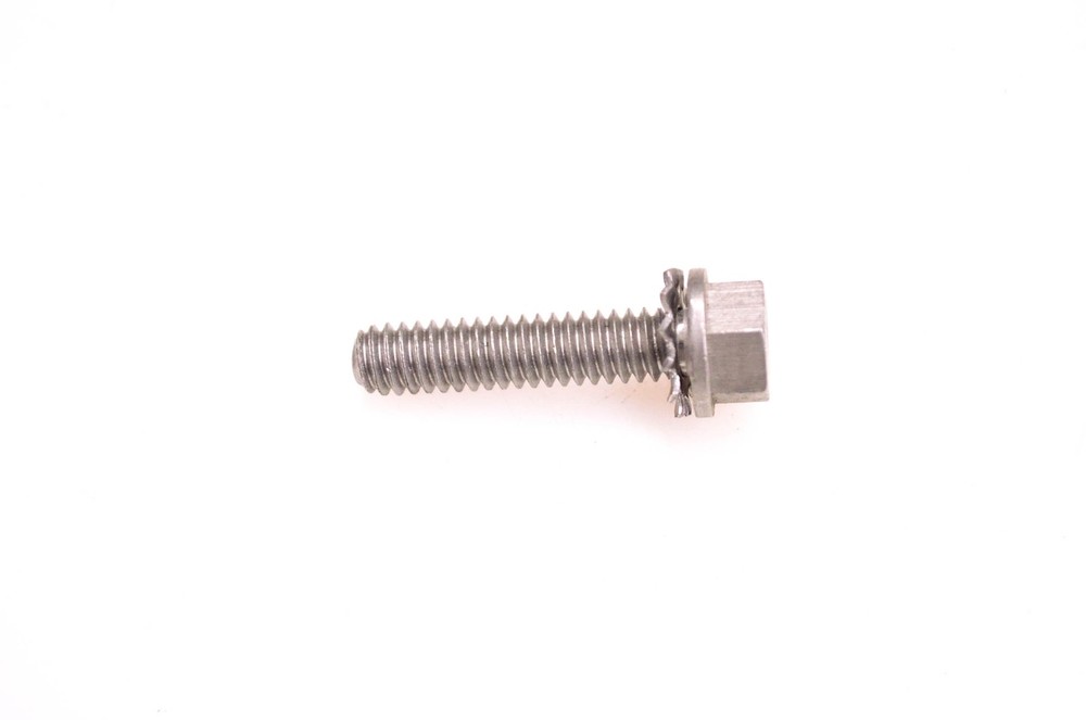 OMC 310063 Screw & Washer NOS