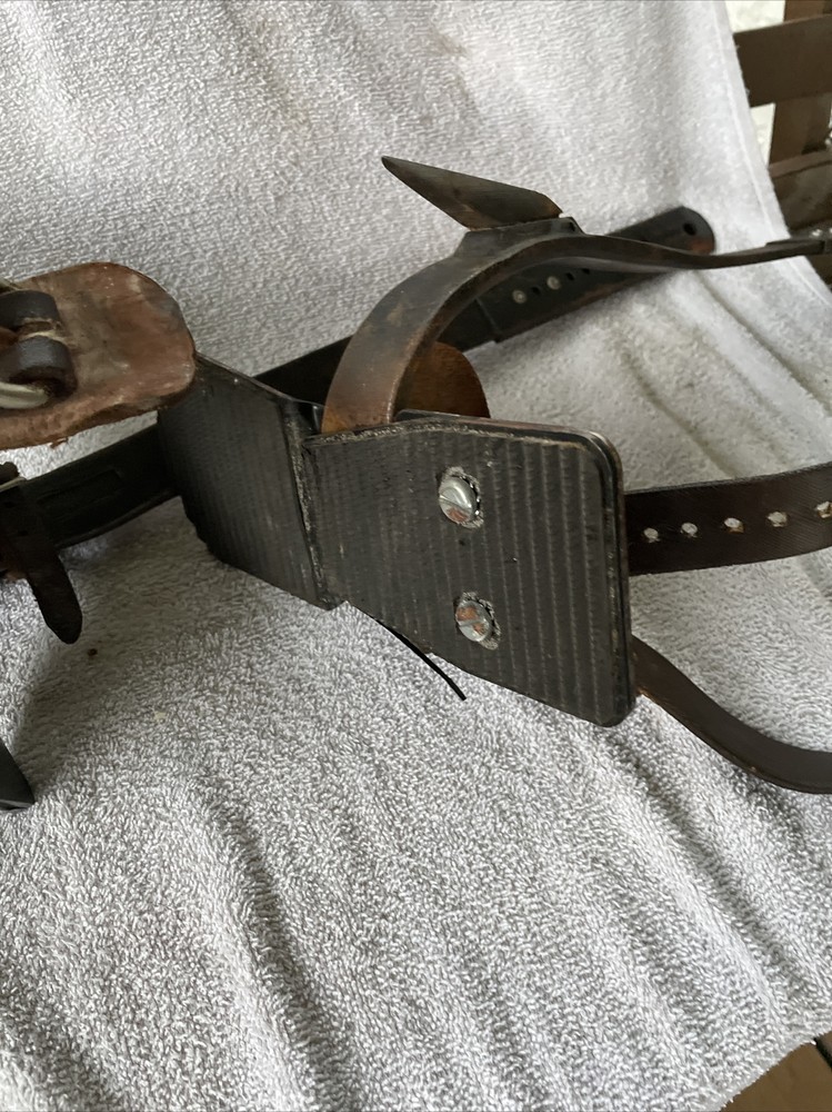 Buckingham Tree Pole Climbing Spike Gaffs (5a)