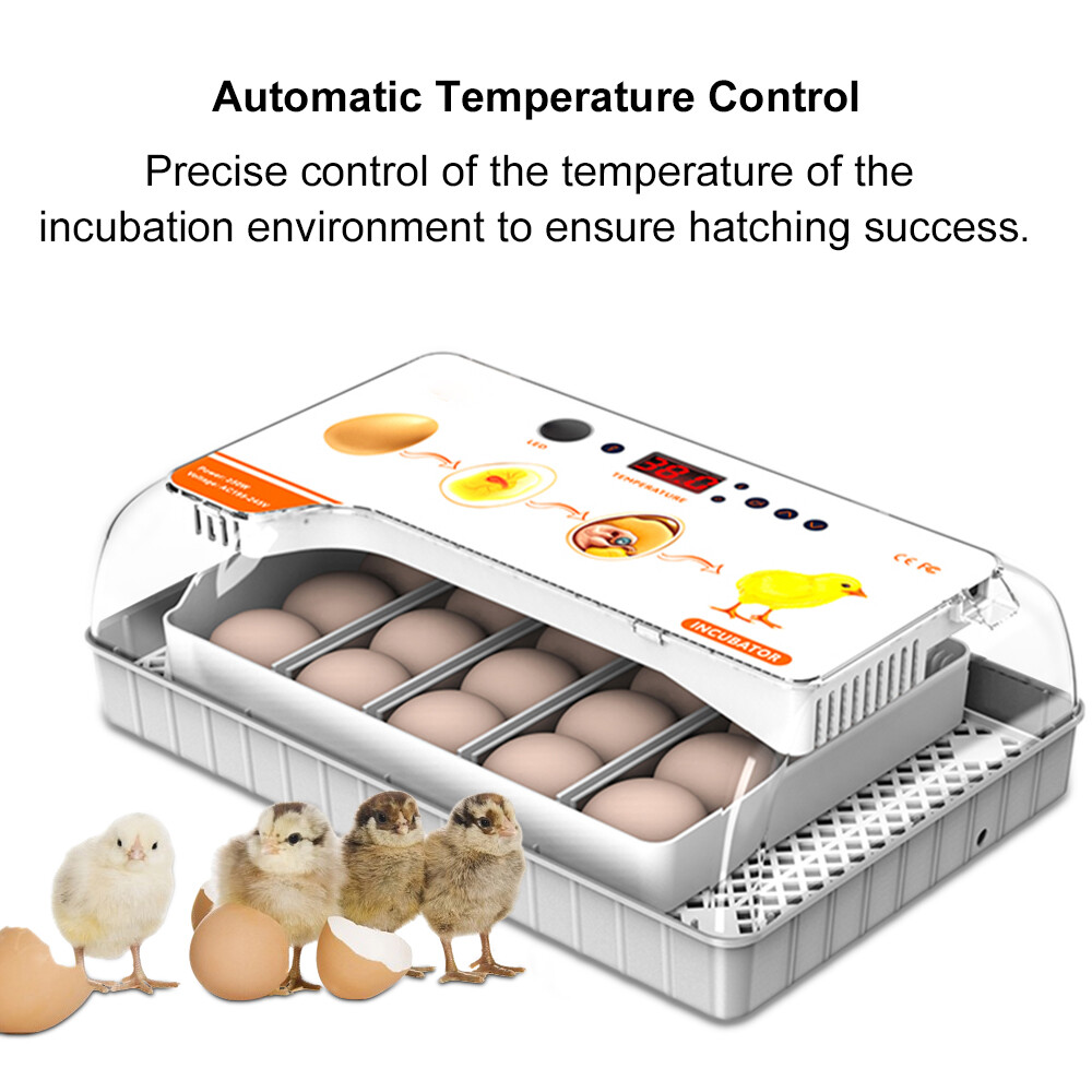 20 Egg Automatic Egg Incubator - Digital Turning Hatching Machine