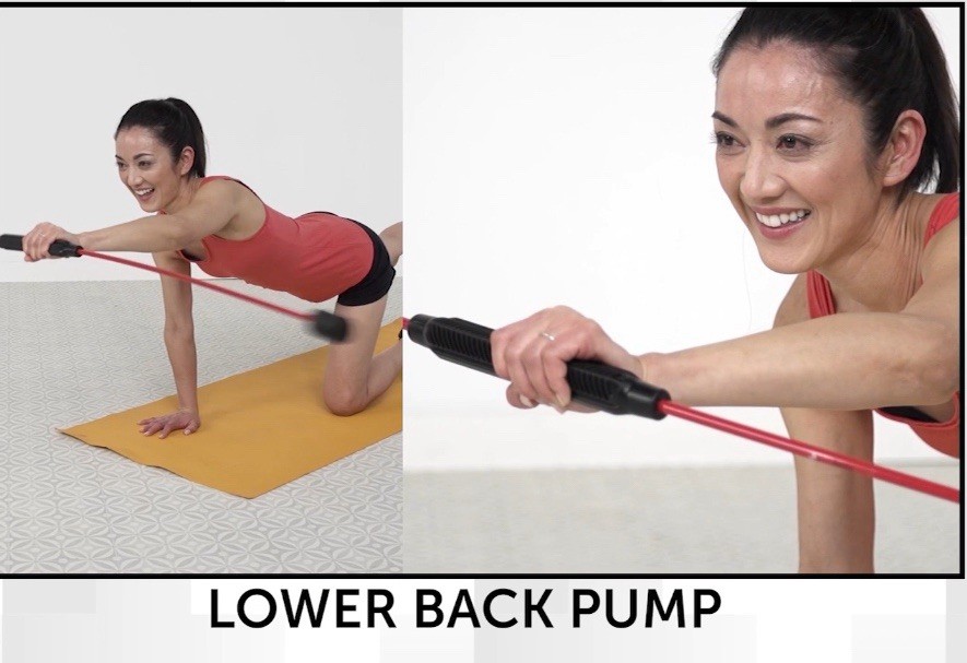 Medic Therapeutics PRO Flexi Swing Bar with 22 Exercise