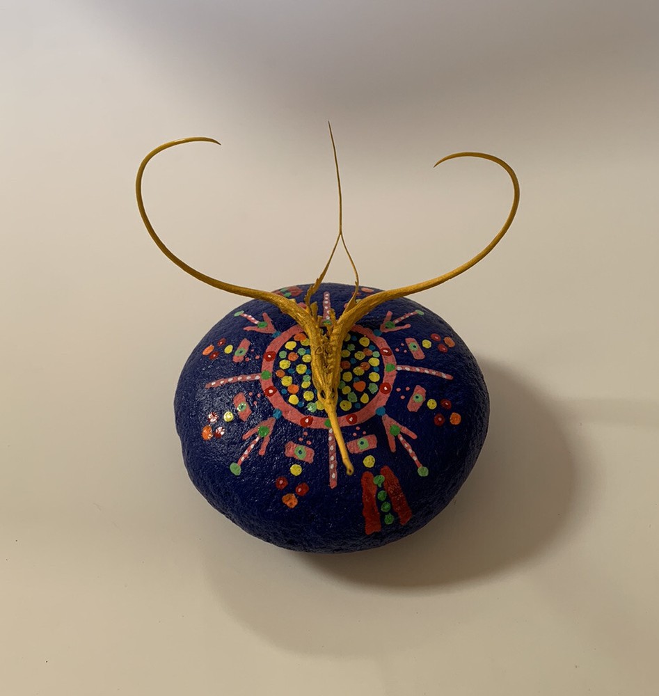 Proboscidea Devil's Claw FOLK ART SCULPTURE Painted Rock DEVIL'S Paperweight