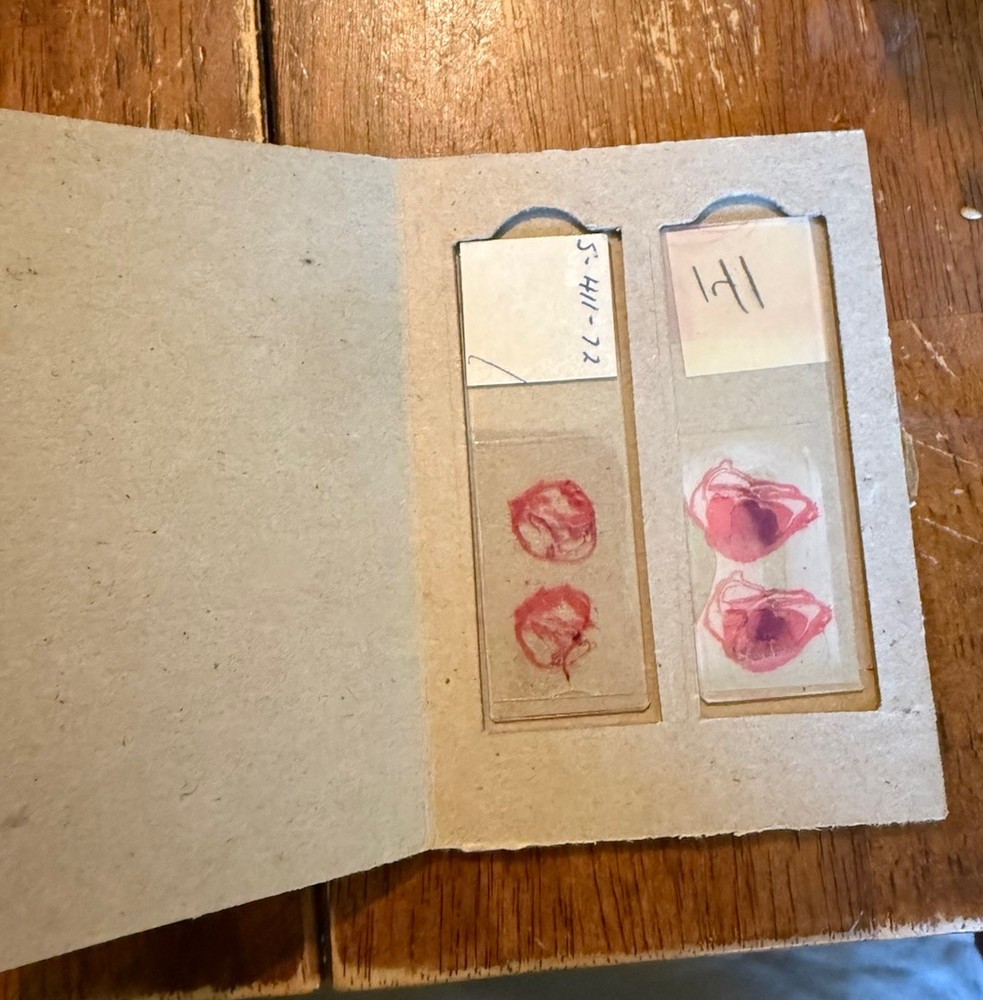 Vtg Bausch & Lomb Binocular Microscope