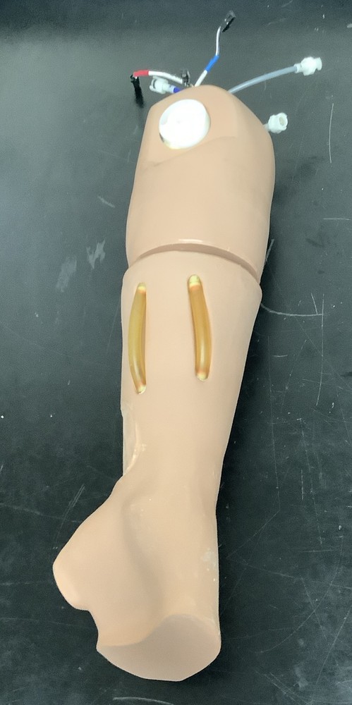 Child Pediatric Multi-Venous IV Training Arm