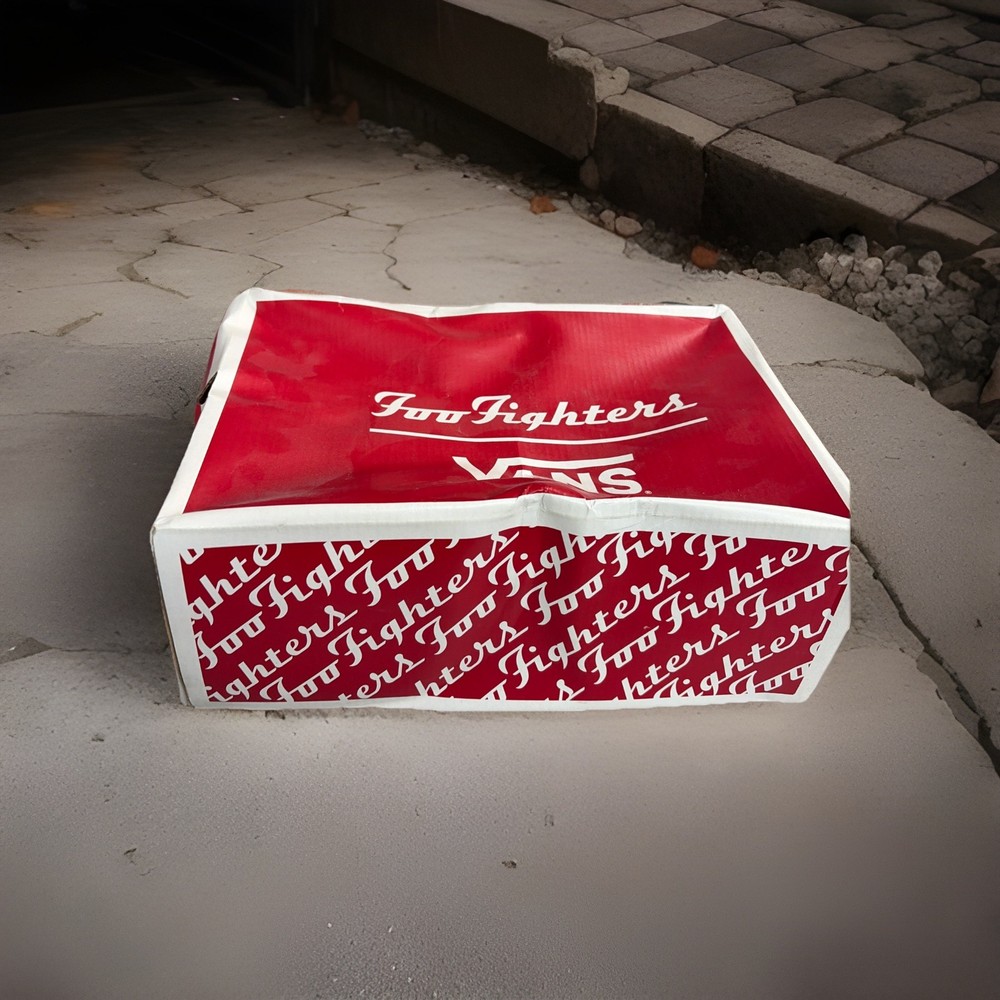 Foo Fighters 25th Anniversary Vans-NEW