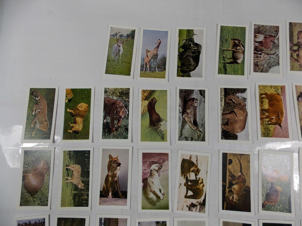 Hornimans Tea Cards Wild Animals Complete Set 48