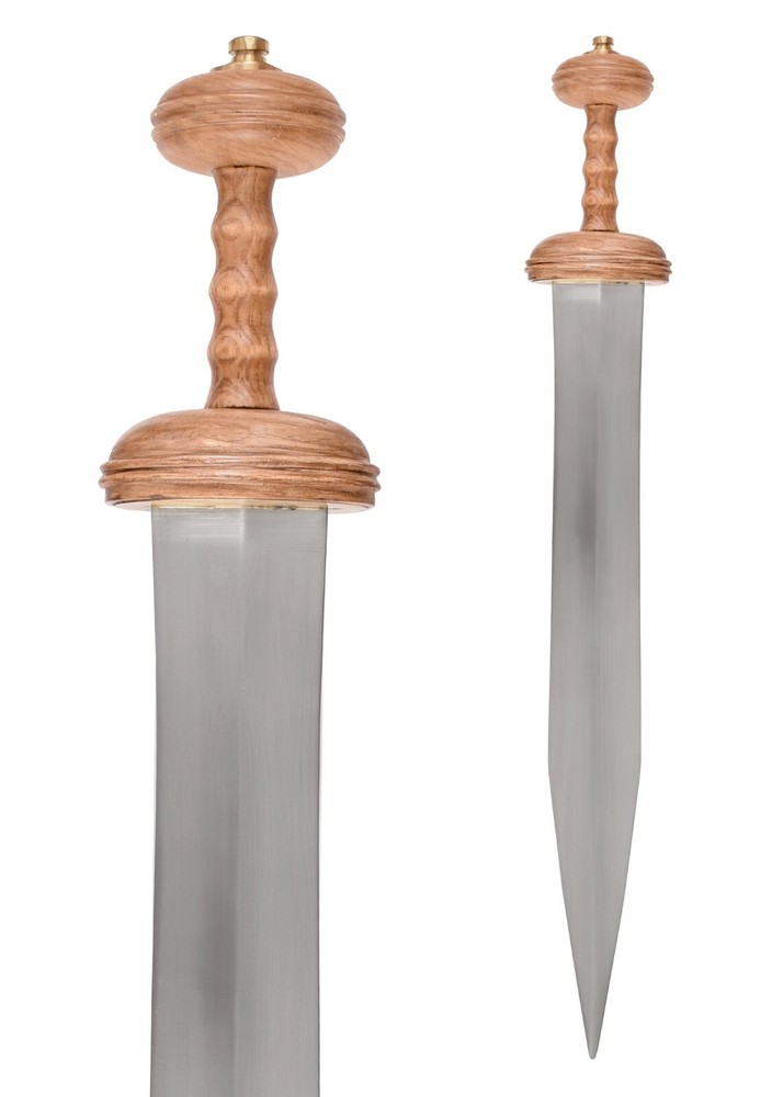 Tiberius Mainz Gladius with scabbard