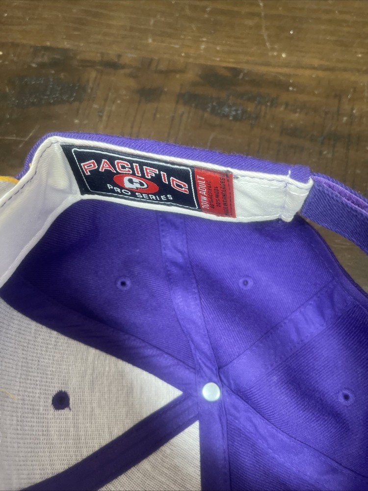 Eagan MN Fire Department Vikings Style Hat