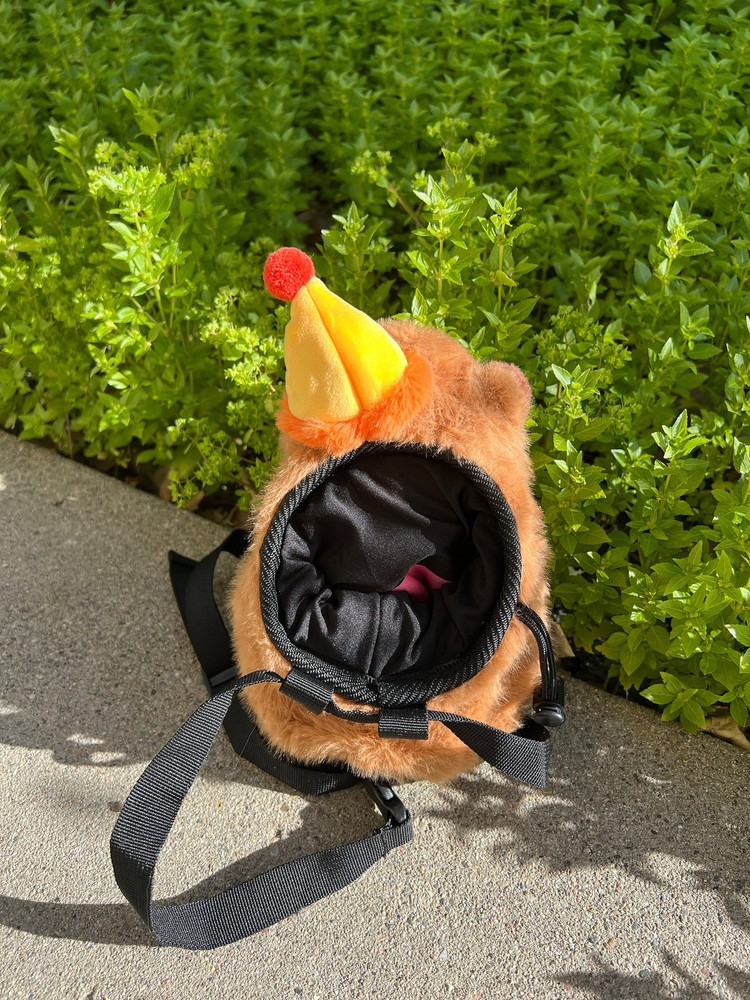 Capybara Birthday Chalk Bag