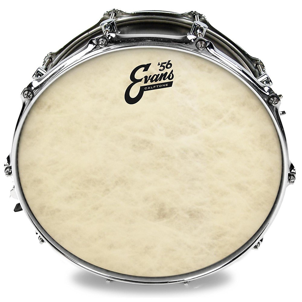 Evans Calftone Drumhead 14 in.