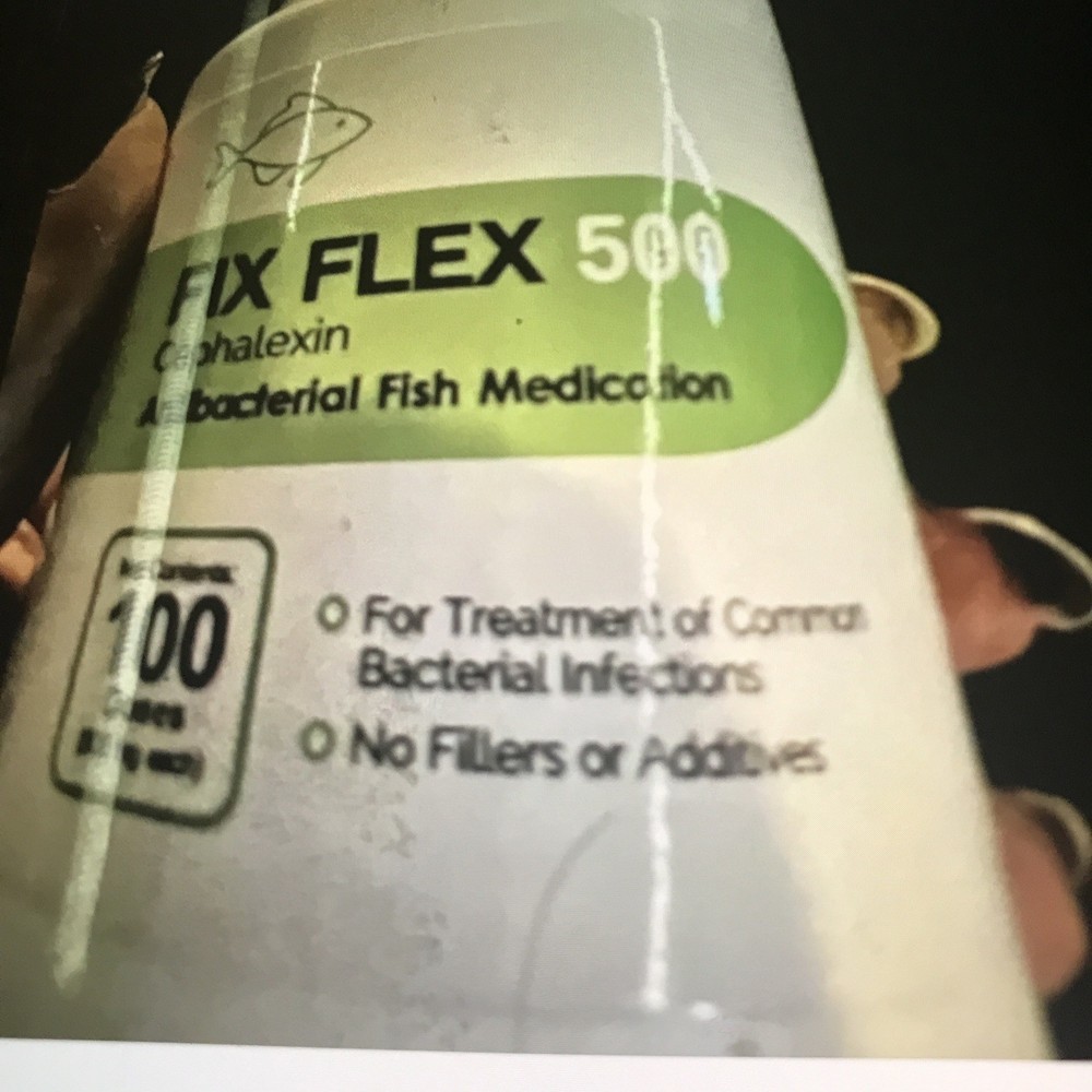 freshwater aquarium fish supplies
